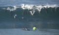 Dauphins surfers.jpg
